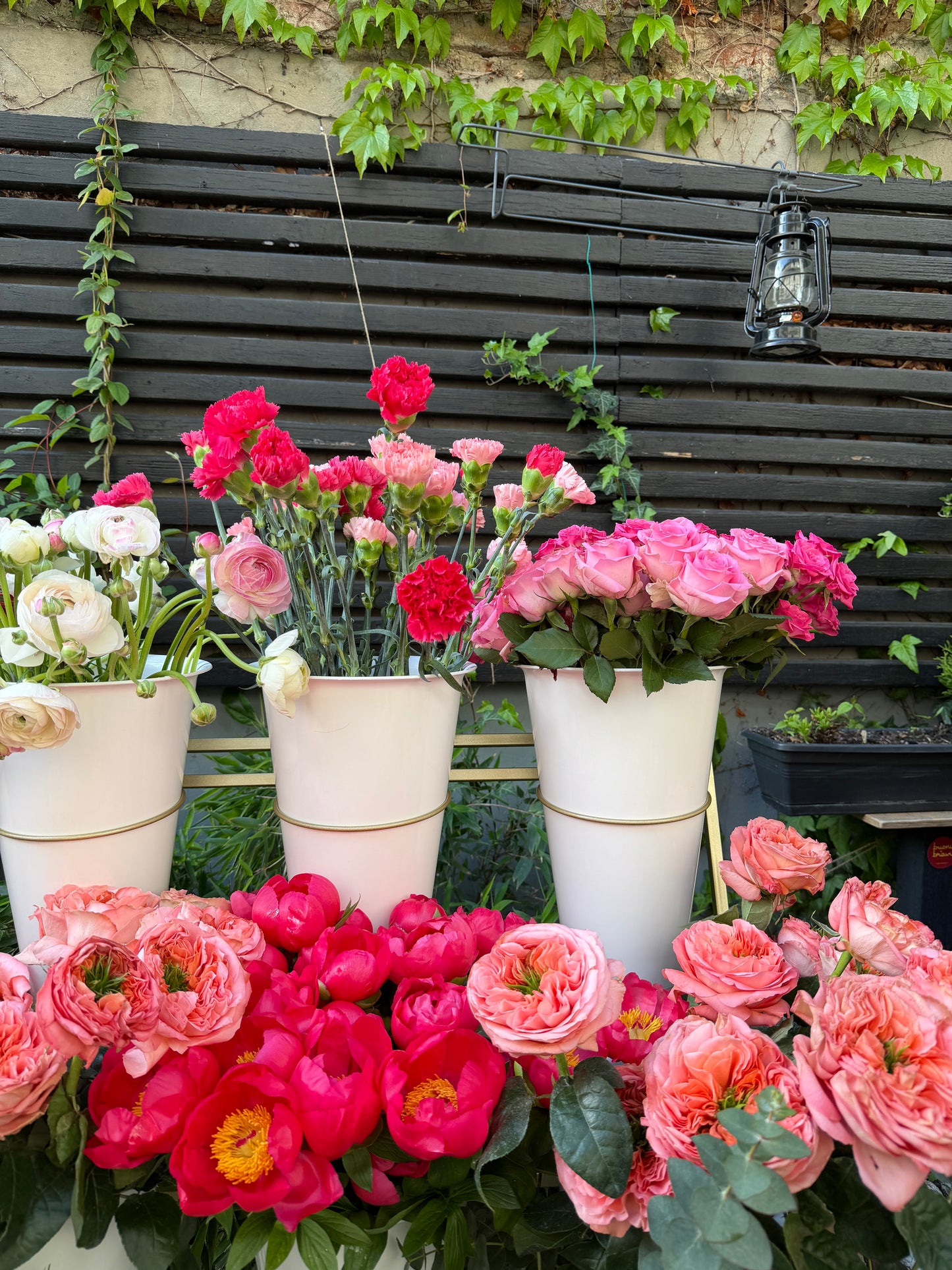 Bloom Essentials - Pachet Bloom Bar
