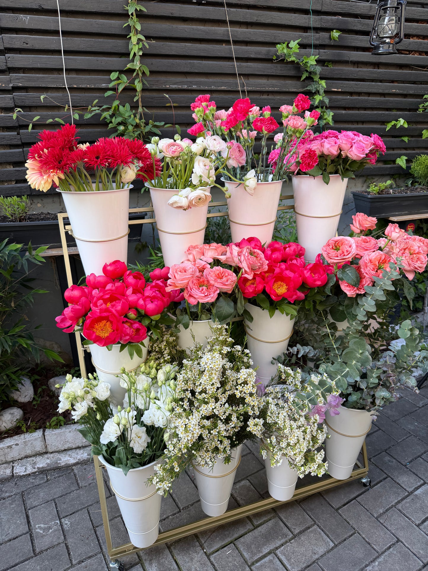 Flower Club - 23 iunie 2026 - Powered by Asevi