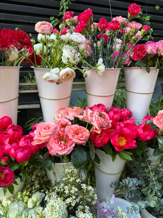 Bloom Essentials - Pachet Bloom Bar
